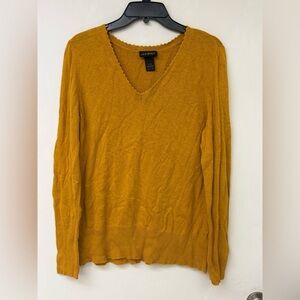 Lane Bryant Golden V-Neck Sweater Size 14